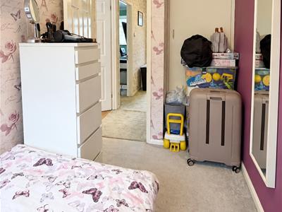 Picture 24